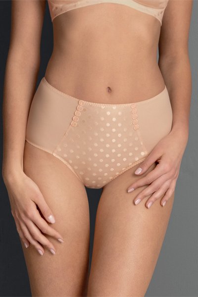 Anita Airita High Waist Briefs+