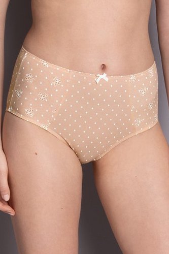 Anita Belvedere High-Waist Briefs+