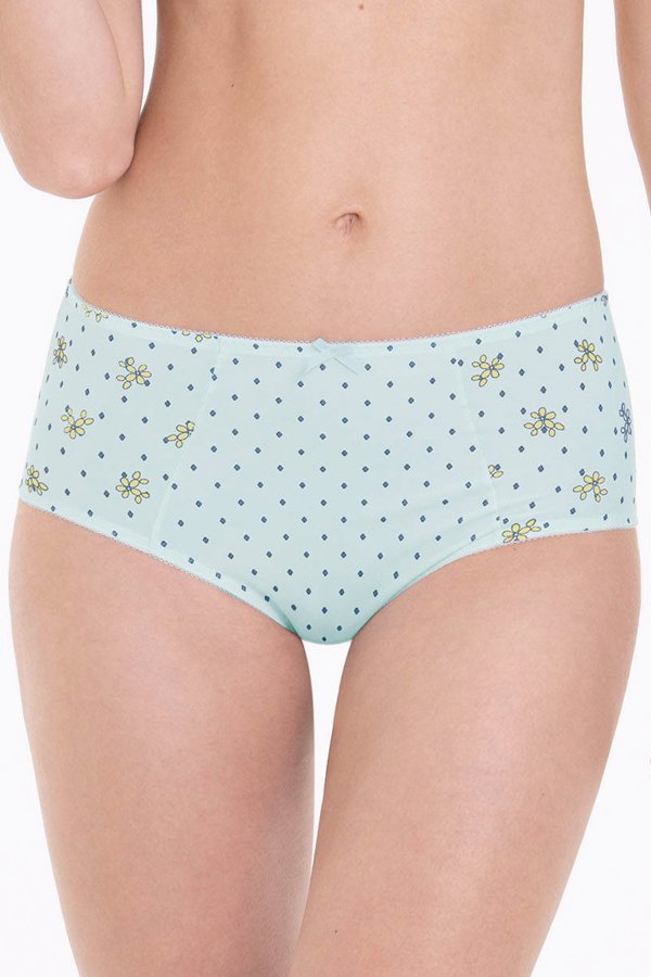 Anita Belvedere High-Waist Briefs+