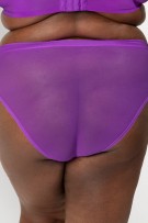 Curvy Couture Sheer Mesh High Cut Brief Panty - Purple Passion - source image 71724