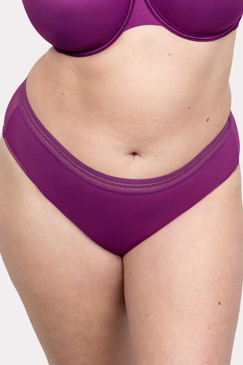 Curvy Couture Sheer Mesh High Cut Brief Panty - Berry Bliss - source image 71779