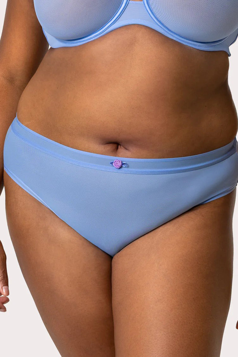 Curvy Couture Sheer Mesh Hipster - Denim Blue - source image 75655