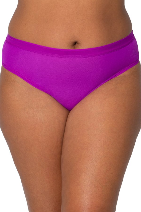 Curvy Couture Sheer Mesh Hipster - Fierce Violet - source image 57579