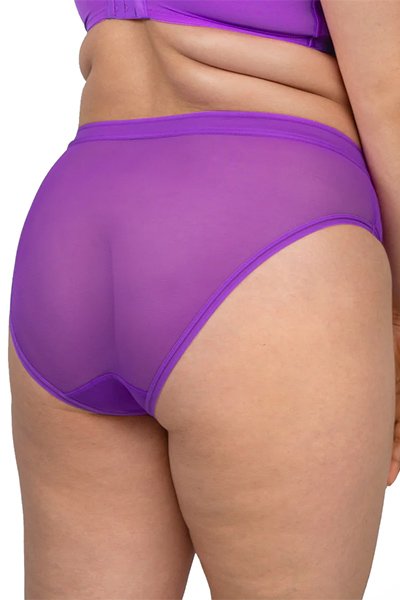 Curvy Couture Sheer Mesh Hipster - Purple Passion - source image 66715