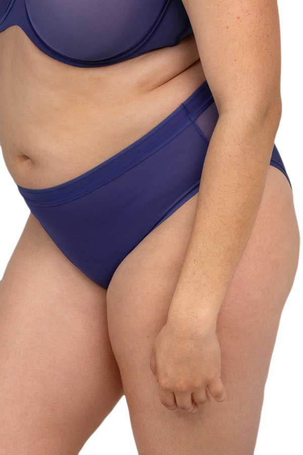 Curvy Couture Sheer Mesh Hipster - Vintage Blue - source image 66165
