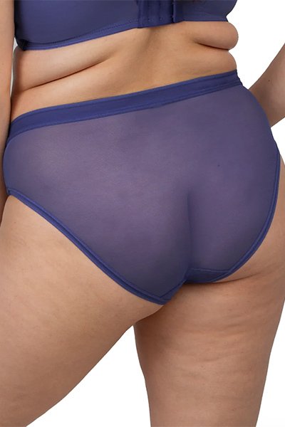 Curvy Couture Sheer Mesh Hipster - Vintage Blue - source image 66716