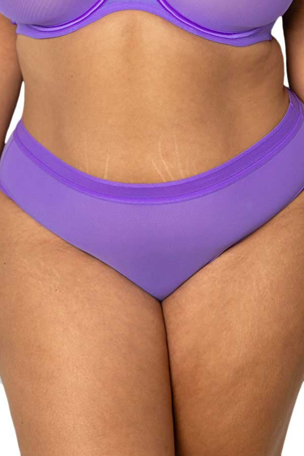 Curvy Couture Sheer Mesh Hipster - Violet - source image 66167
