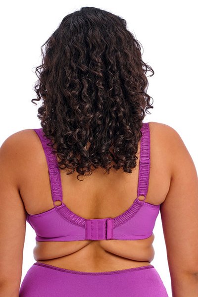 Elomi Cate Underwire Full Cup Banded Bra - Dahlia - source image 64705