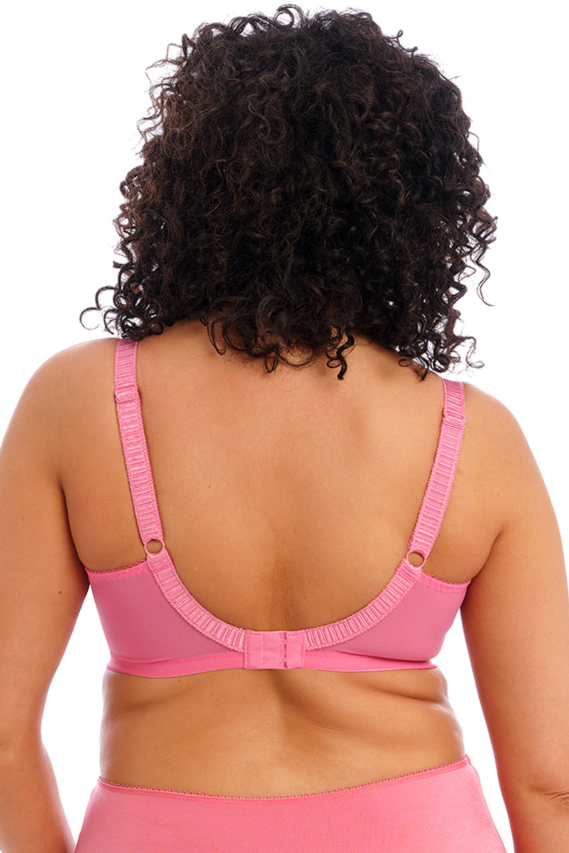 Elomi Cate Underwire Full Cup Banded Bra - Desert Rose - source image 58043