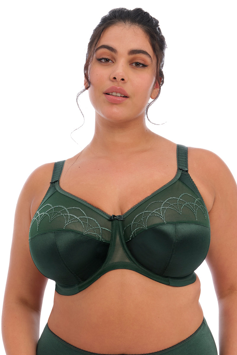 Elomi Cate Underwire Full Cup Banded Bra - Pine Grove - source image 43803