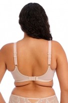 Elomi Charley Stretch Lace Underwire Plunge Bra - Fawn - source image 59613
