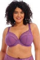 Elomi Charley Stretch Lace Underwire Plunge Bra - Pansy - source image 58090