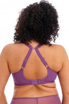 Elomi Charley Stretch Lace Underwire Plunge Bra - Pansy - source image 58091