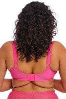 Elomi Charley Stretch Lace Underwire Plunge Bra - Pink - source image 70805