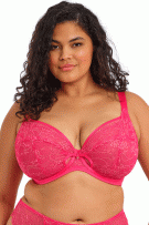 Elomi Darcie Underwire Plunge Bra - Azalea - source image 73095