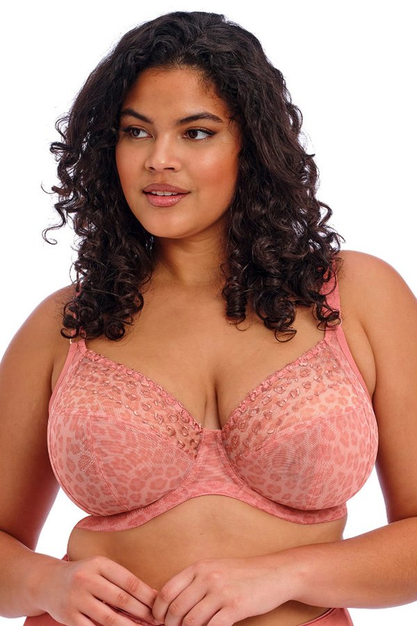 Elomi Matilda Plunge Bra - Rose Leo - source image 65489