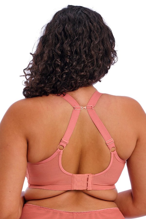 Elomi Matilda Plunge Bra - Rose Leo - source image 65490