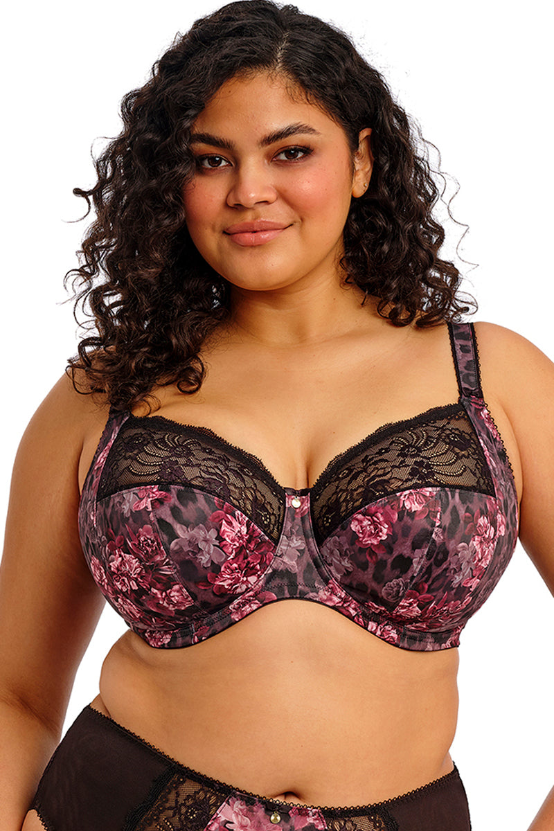Elomi Morgan Banded Underwire Stretch Lace Bra - Dark Romance - source image 71977