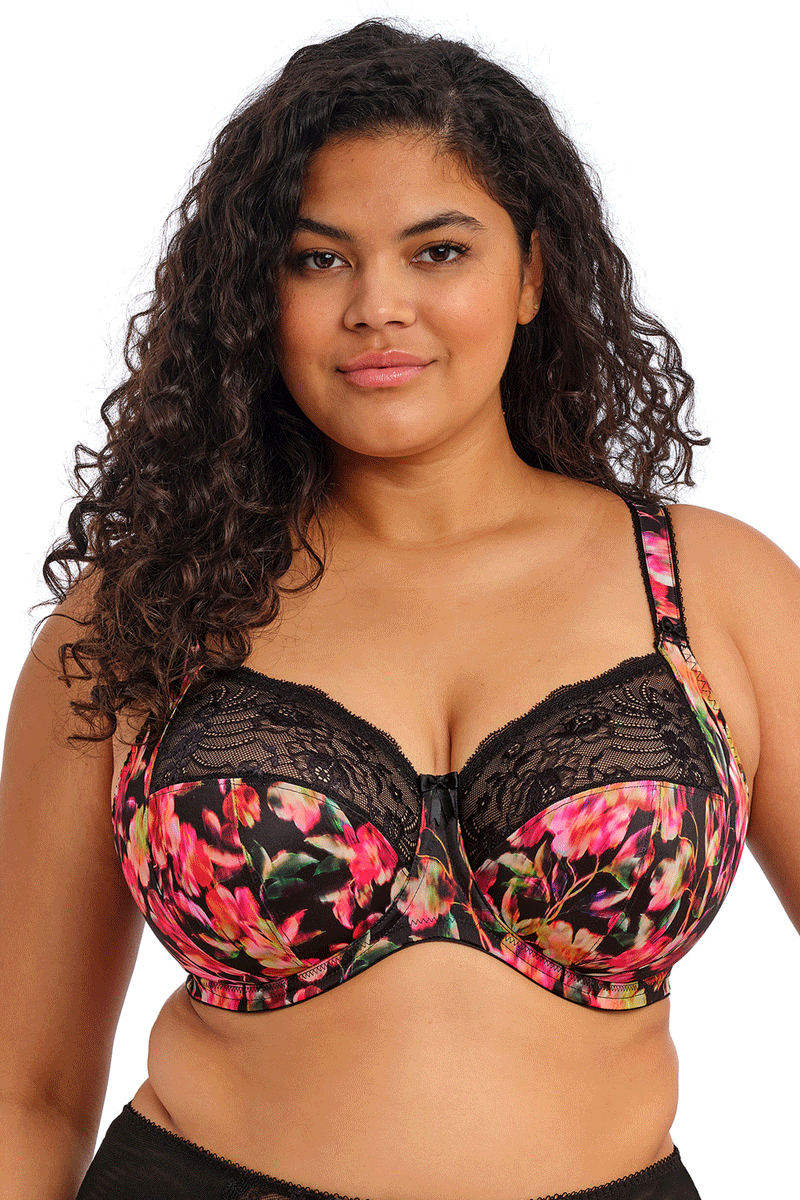 Elomi Morgan Banded Underwire Stretch Lace Bra - Hot House - source image 73093