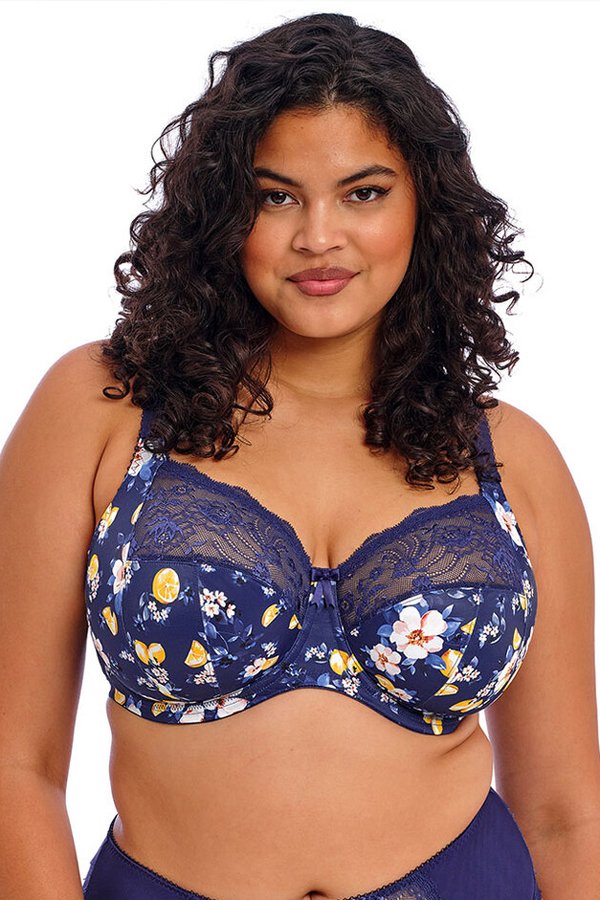 Elomi Morgan Banded Underwire Stretch Lace Bra - Sicilia - source image 65551
