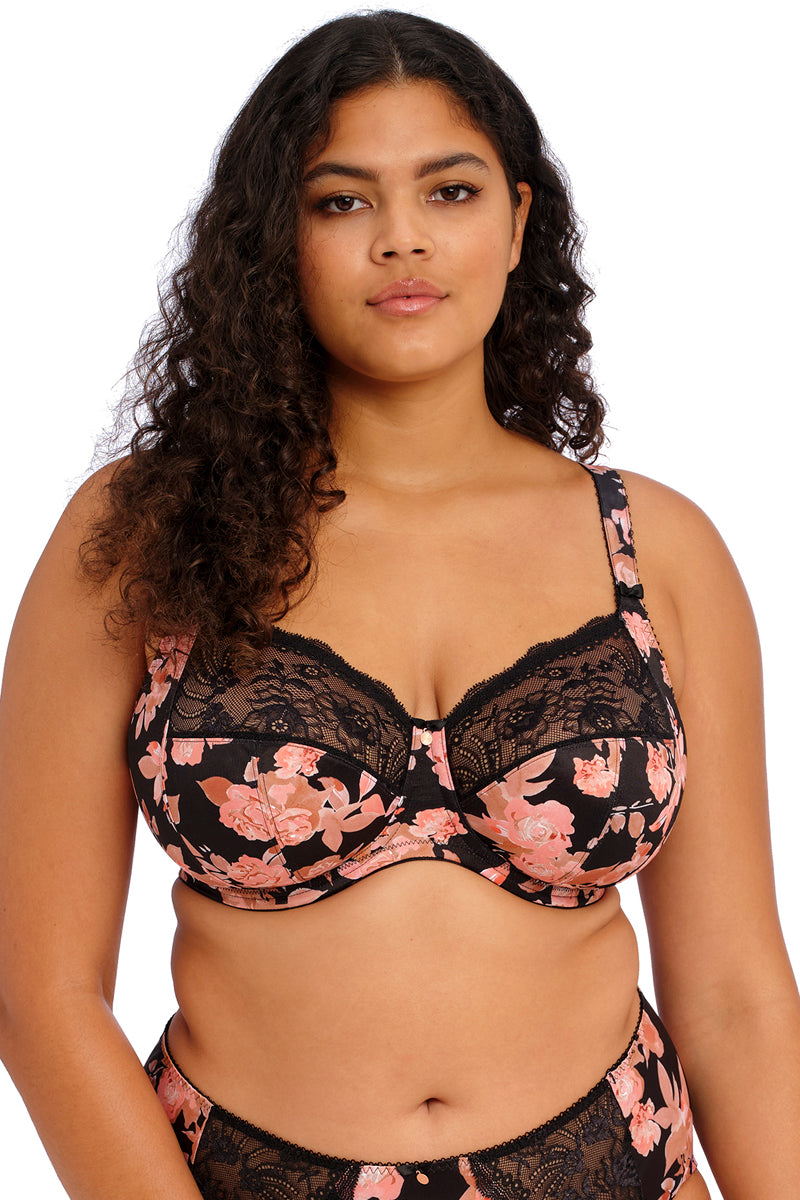 Elomi Morgan Banded Underwire Stretch Lace Bra - Watercolour - source image 58056