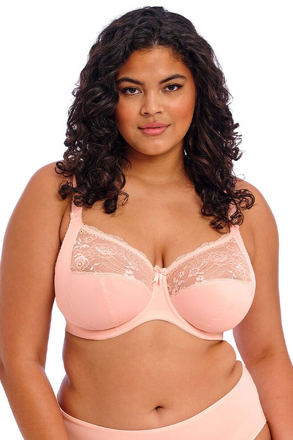 Elomi Morgan Underwire Banded Stretch Lace Bra - Ballet Pink - source image 44997