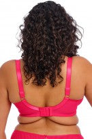 Elomi Teagan Underwire Plunge Bra - Azalea - source image 70754