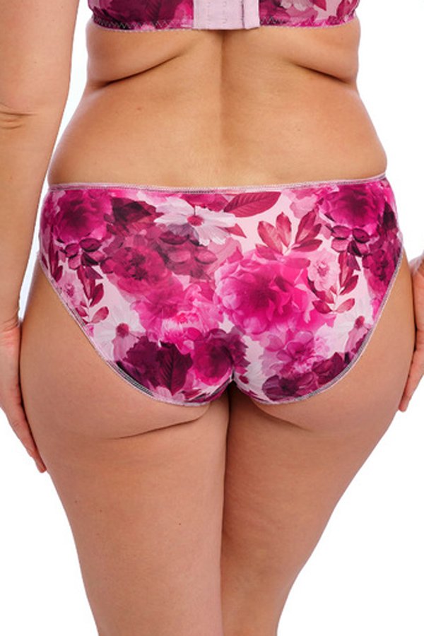 Fantasie Pippa Brief - Raspberry Ripple - source image 69993