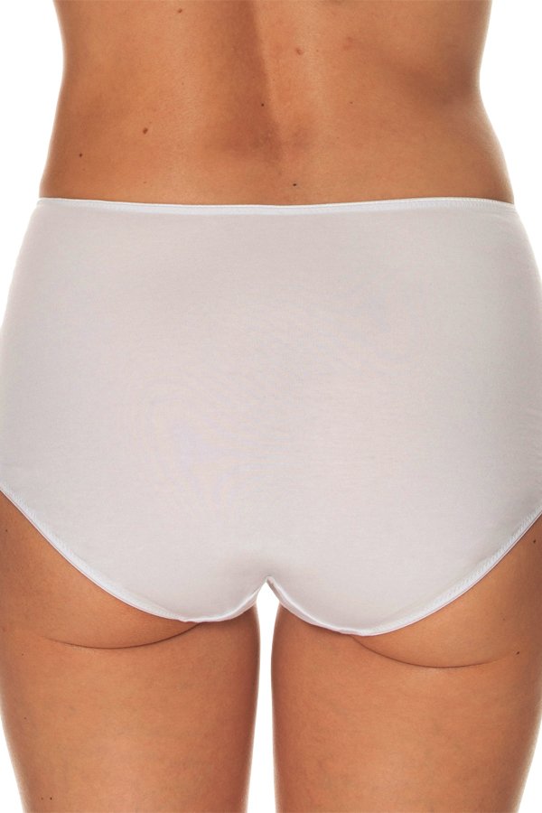 Gemsli Brief with Dotted Mesh Insert - White - source image 41559