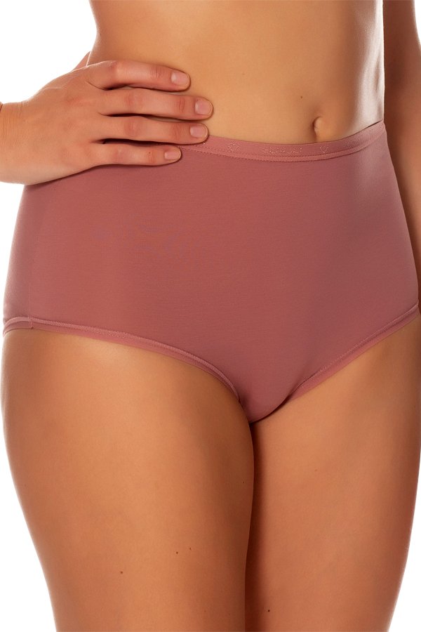 Gemsli Logo Waistband Brief - Blush - source image 41516