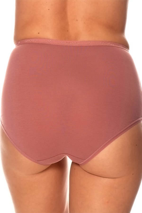 Gemsli Logo Waistband Brief - Blush - source image 41517