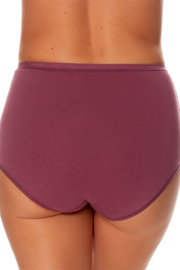 Gemsli Logo Waistband Brief - Nectar - source image 41520