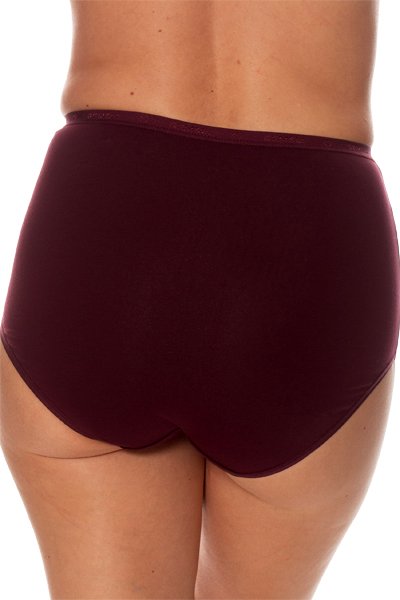 Gemsli Logo Waistband Brief - Plum - source image 41524