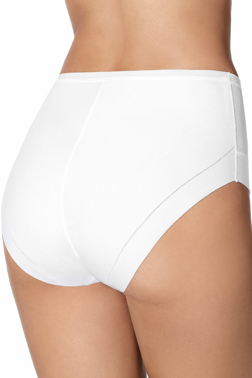 Janira Slip Cotton Band High Waist Brief - White - source image 37087