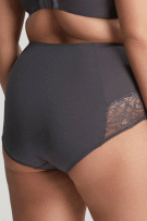 Panache Estel High Waist Brief - Kitten Grey - source image 72353