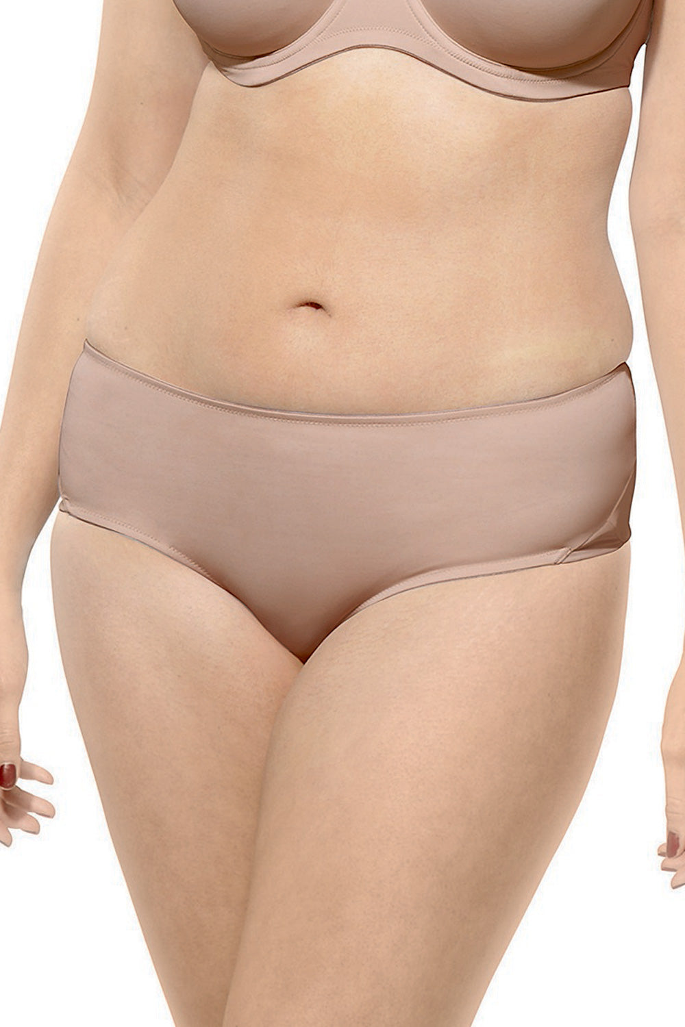Panache Sculptresse Pure Brief - Nude - source image 9539