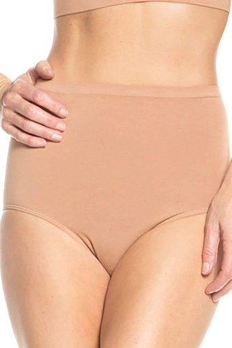 Rhonda Shear Ahh Natural Waist Seamless Panty