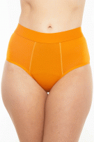 Rhonda Shear Bamboo Leakproof Brief - Heavy Hold - Orange - source image 73388
