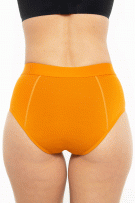 Rhonda Shear Bamboo Leakproof Brief - Heavy Hold - Orange - source image 73389
