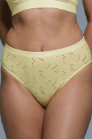Rhonda Shear Lace Crochet Brief Panty - Yellow - source image 73329