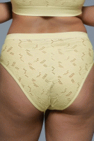 Rhonda Shear Lace Crochet Brief Panty - Yellow - source image 73330
