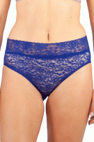 Rhonda Shear Lace Panty Brief - Navy - source image 73427