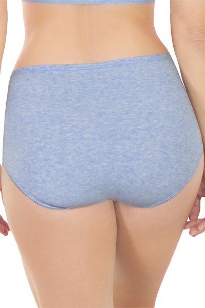 Rhonda Shear Melange Brief