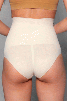 Rhonda Shear Seamless Sculpt High Waisted Brief - Beige - source image 73475