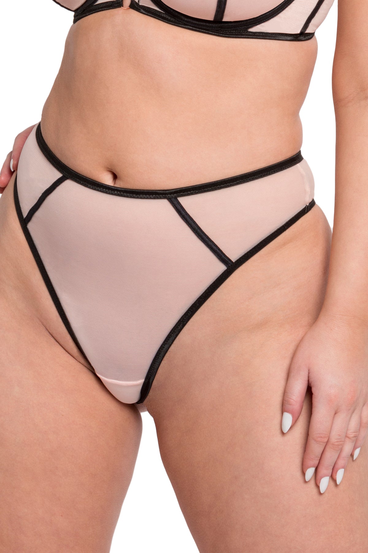 Scantilly by Curvy Kate Exposed High Waist Thong