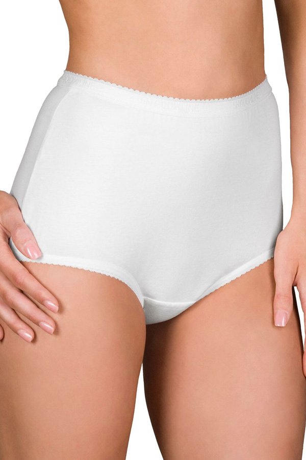 Shadowline Lingerie by Velrose Panties-Cotton Brief, 3-Pack