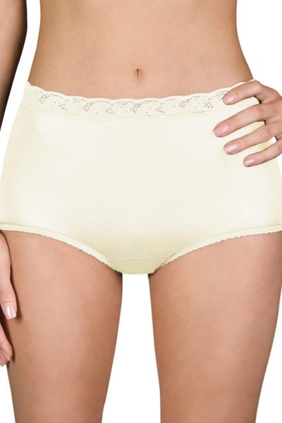 Shadowline Lingerie by Velrose Panties-Low Rise Nylon Brief, 3-Pack - Ivory - source image 56604