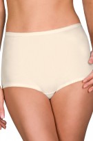 Shadowline Lingerie by Velrose Spandex Classic Brief, 3-Pack - Ivory - source image 56425
