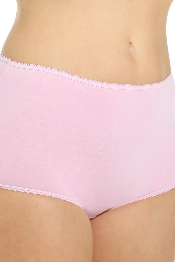 Teri Lingerie Everyday Comfort Full Cut Briefs 4-Pack