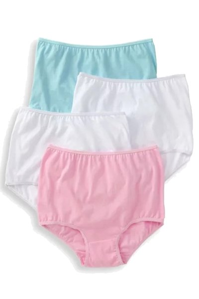 Teri Lingerie Everyday Comfort Full Cut Briefs 4-Pack